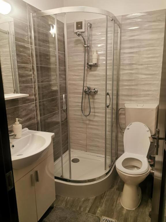 Appartement Apartament Aosta Central Sinaia Extérieur photo