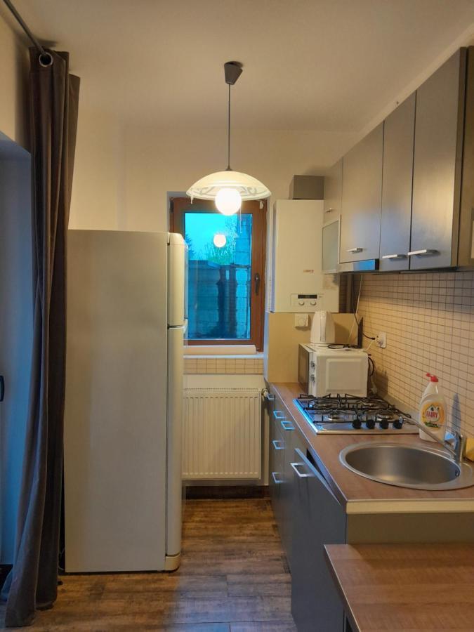 Appartement Apartament Aosta Central Sinaia Extérieur photo